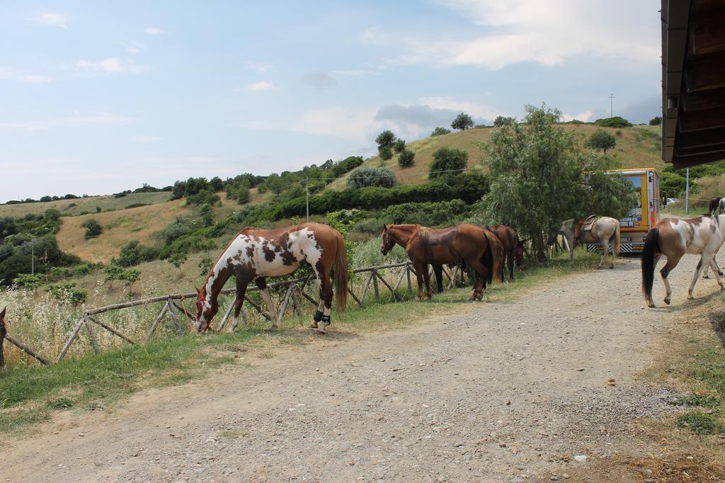 B&B Villa Sveva Rocca Imperiale Kültér fotó